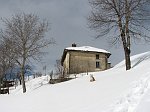 Camminata con e senza ciaspole alle cascine del Monte di Zambla (11 febbraio 09)  -  FOTOGALLERY